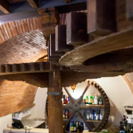 Bernardone Камайоре