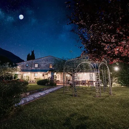 Bernardone カマイオーレ